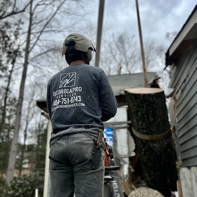 Emergency Tree Services service by Georgia Pro Tree Services