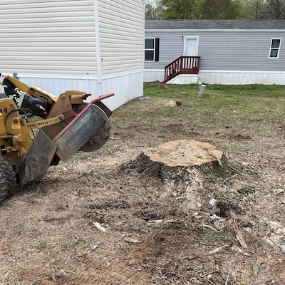 Stump Grinding service by Georgia Pro Tree Services