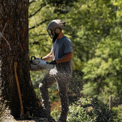 Tree Removal service by Georgia Pro Tree Services