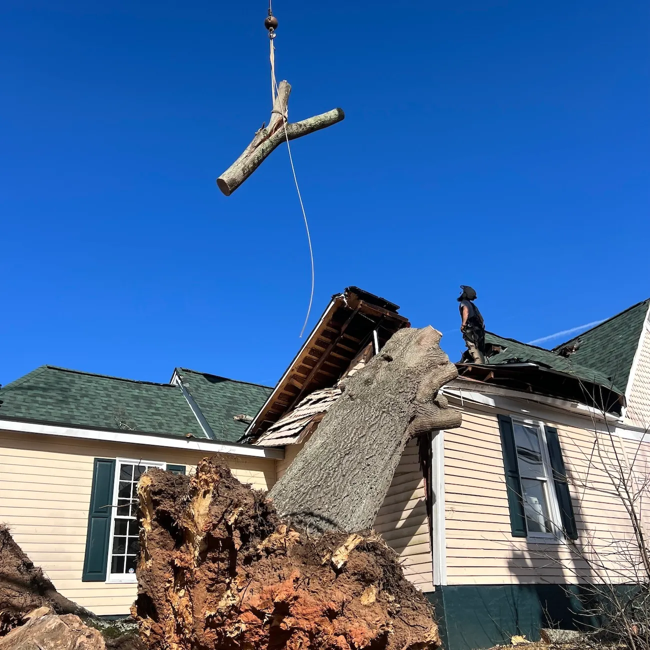 Tree removal equipment and rigging at a residential property