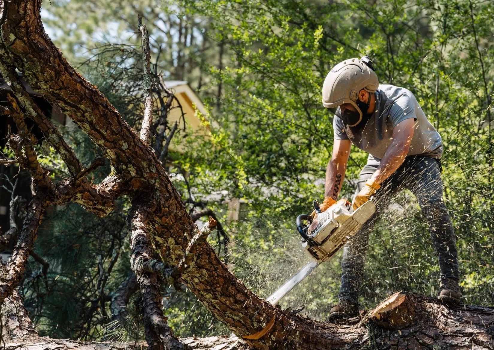 Georgia Pro crew work site after tree service